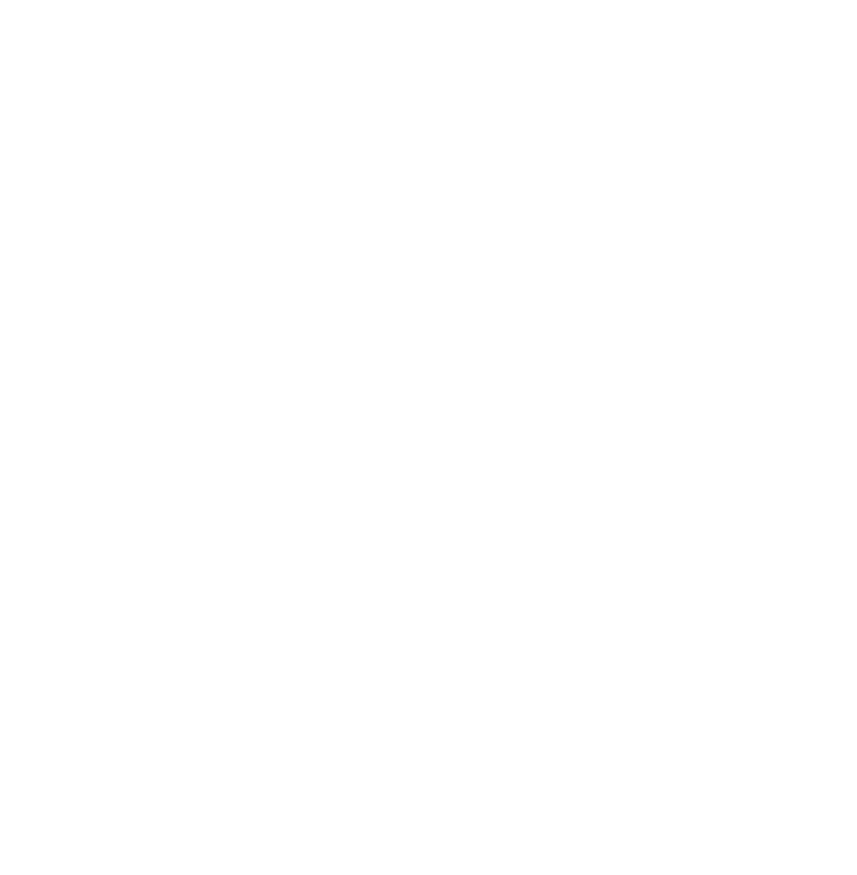 LU Datorikas Studējošo pašpārvalde